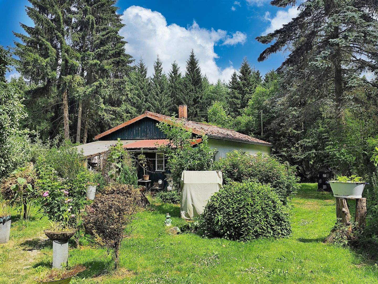 Bild 10