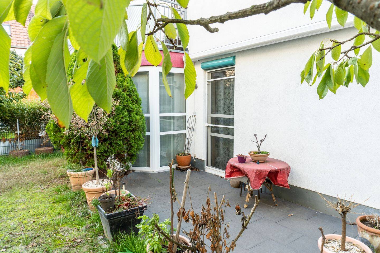Bild 5