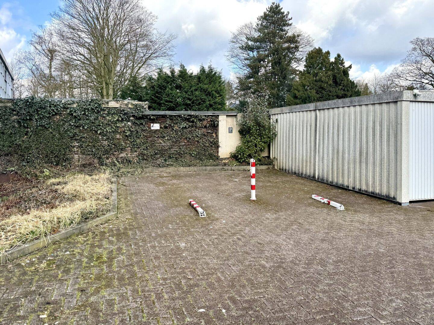 Bild 7