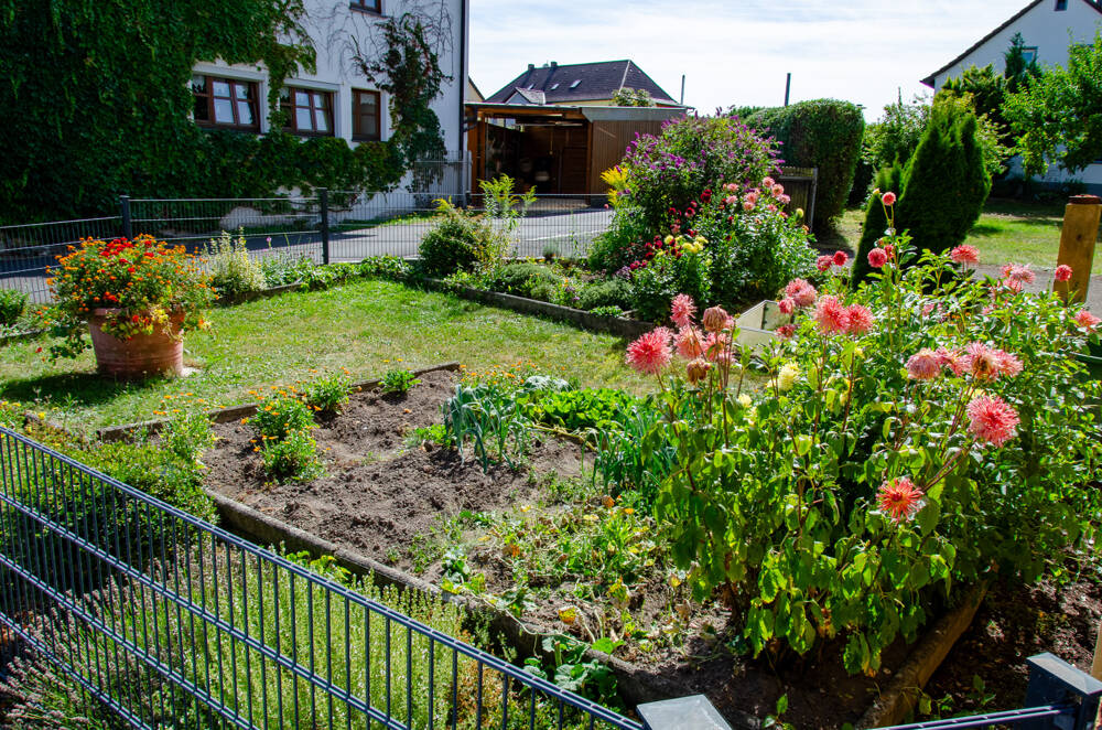 Bild 11
