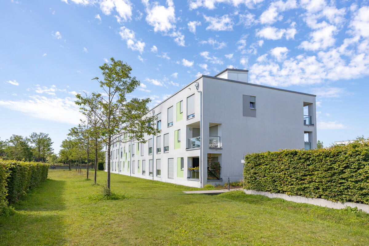 Bild 7