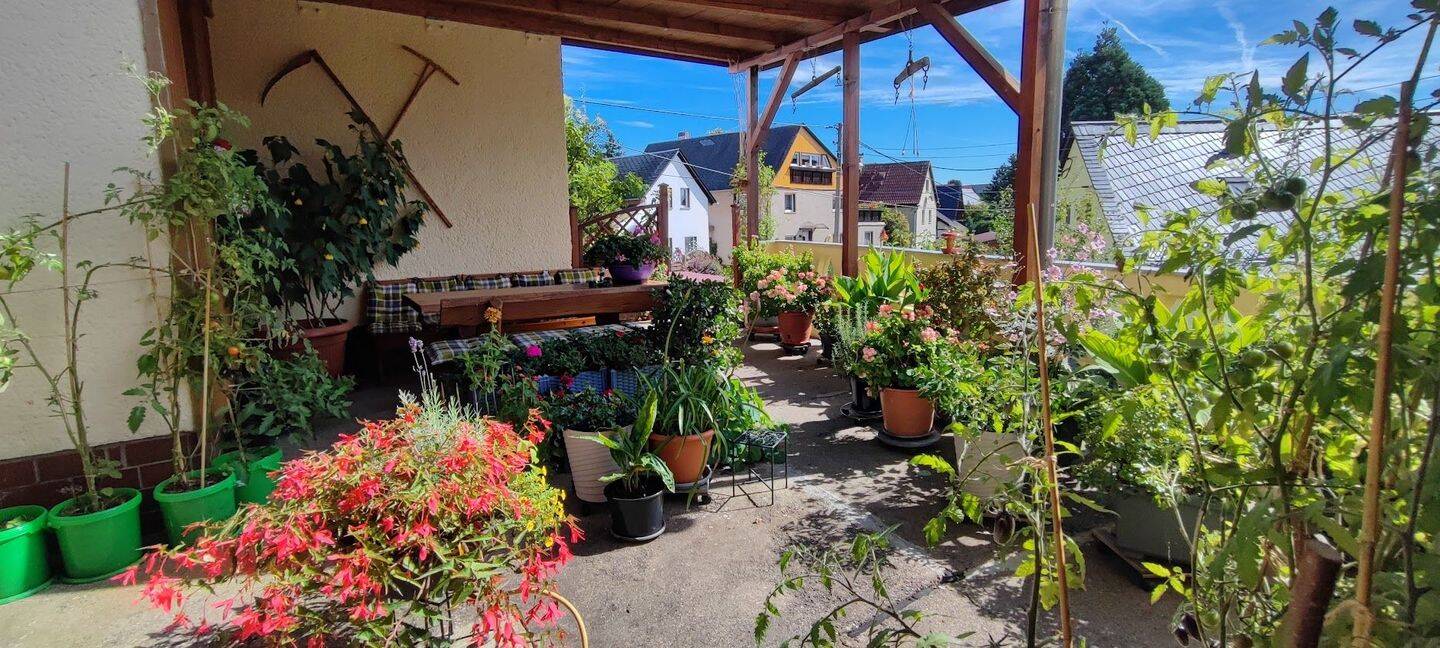 Bild 5
