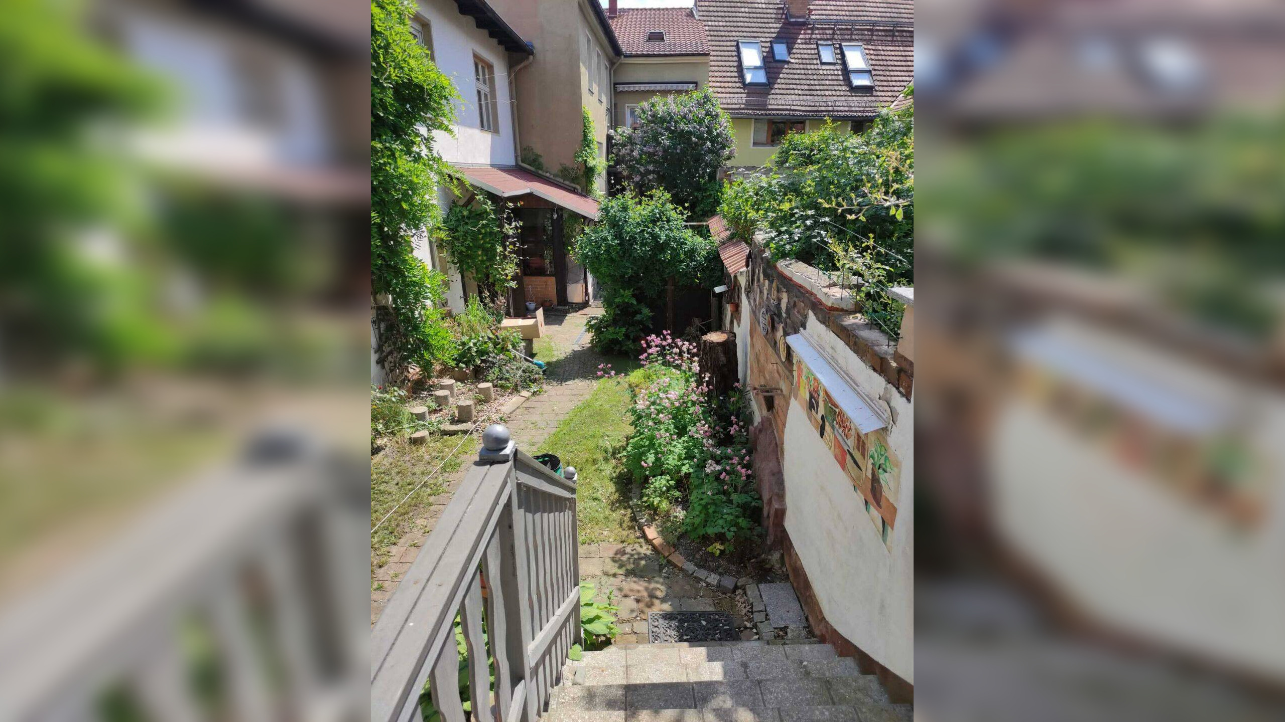 Bild 5