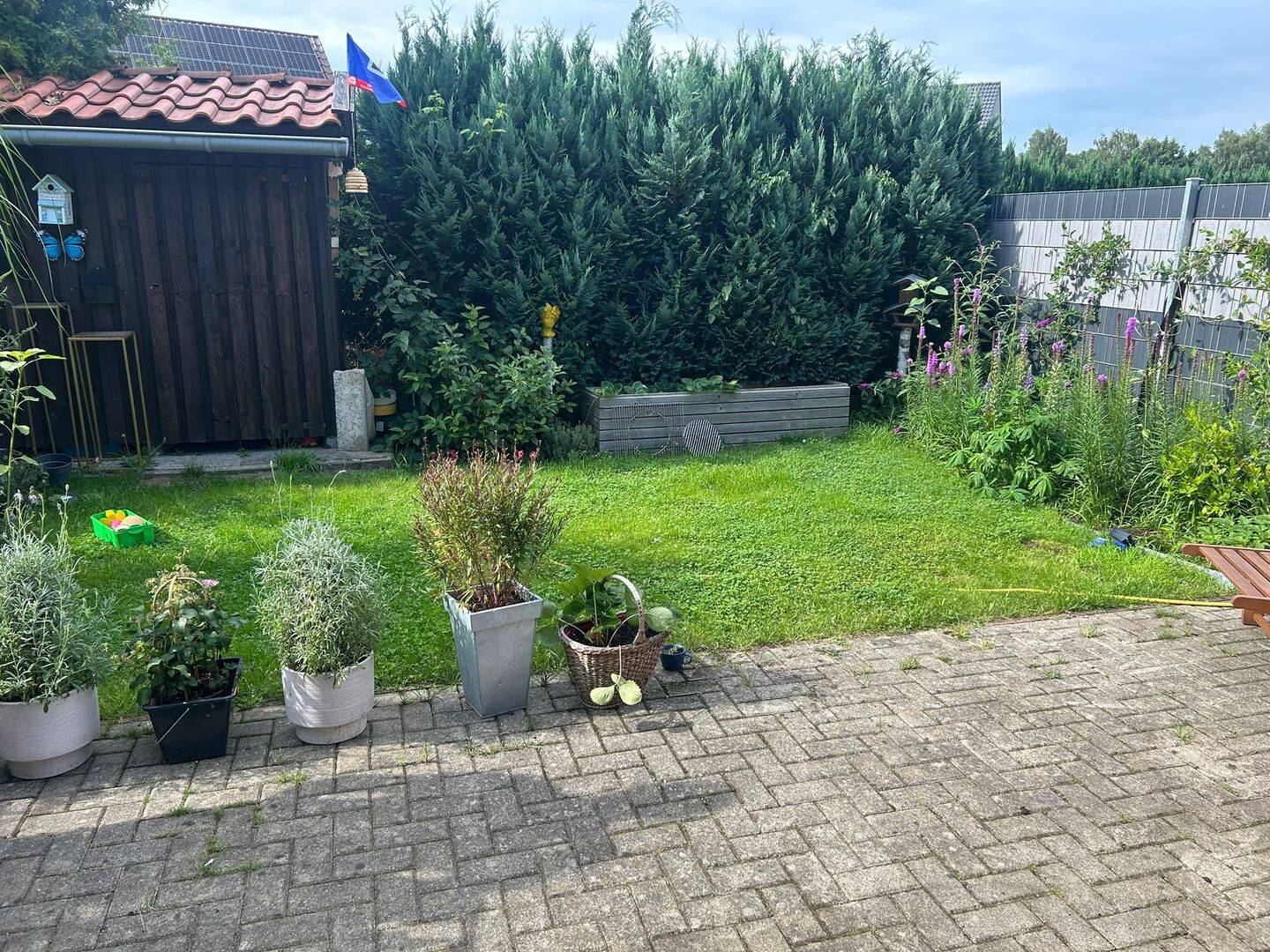 Bild 8