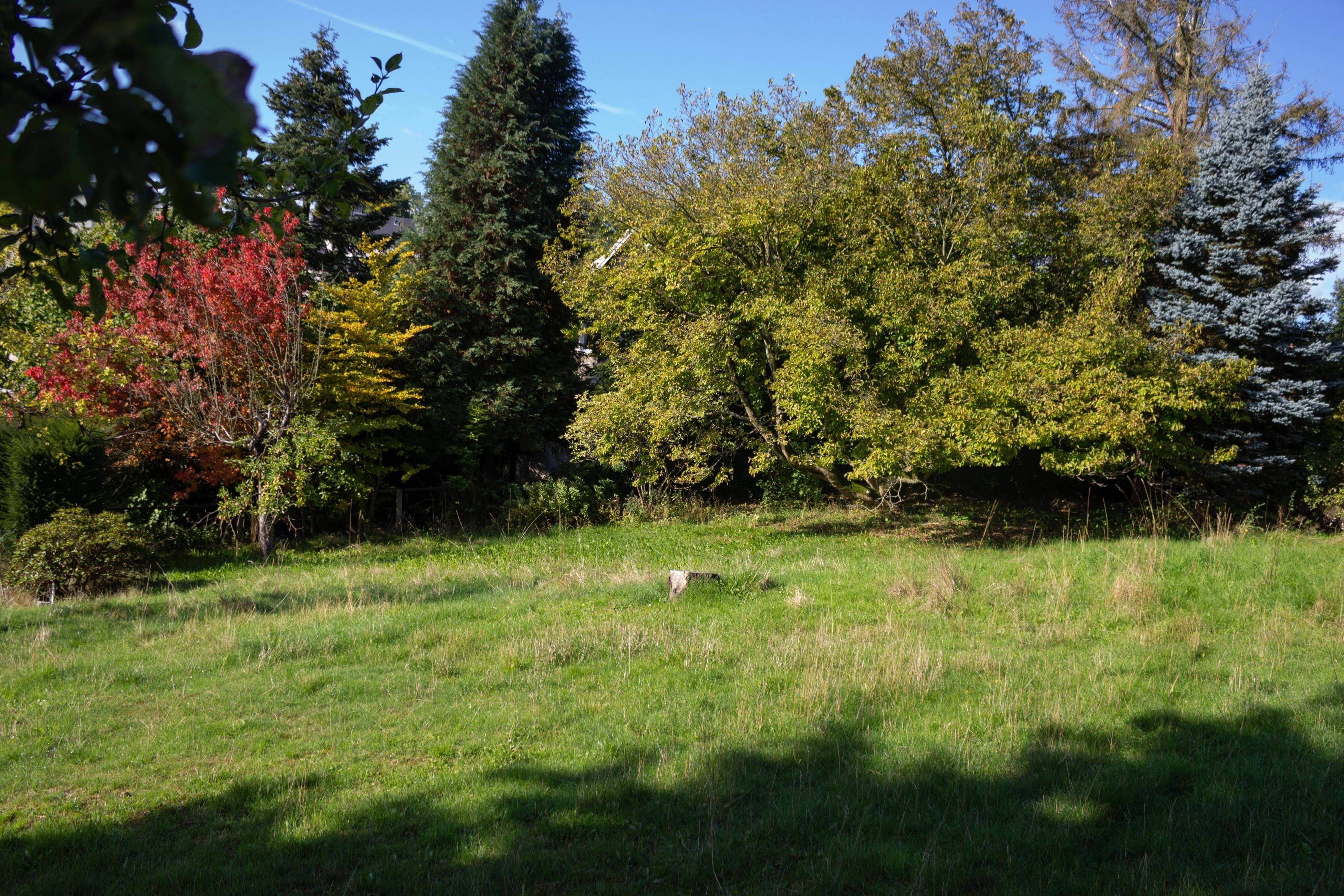 Bild 16