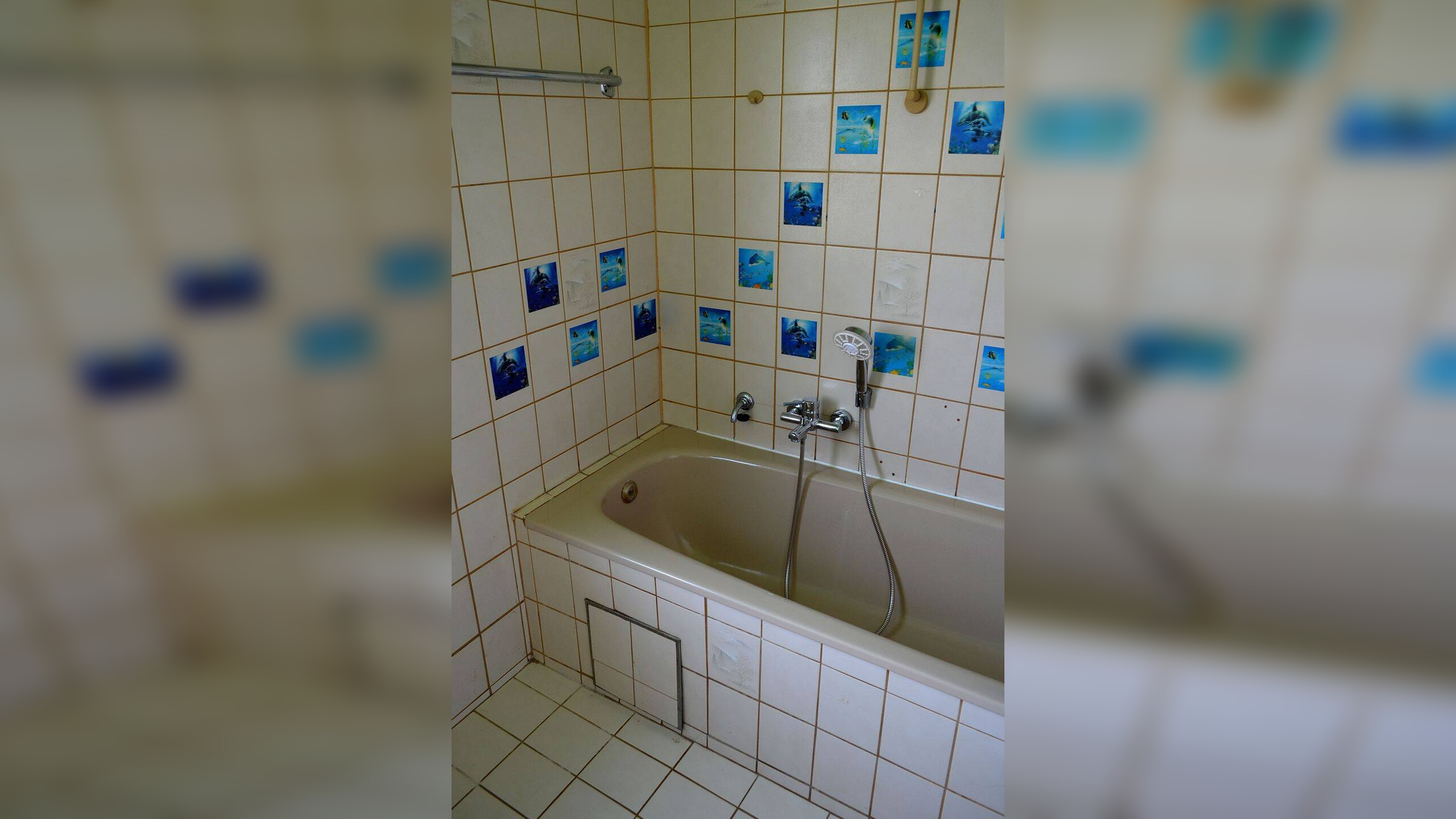 Bild 11