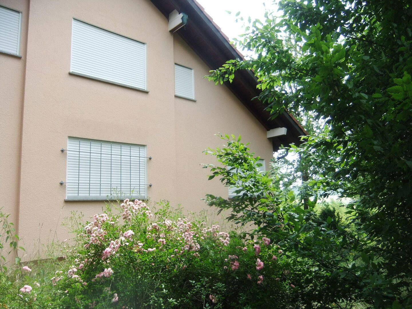 Bild 8