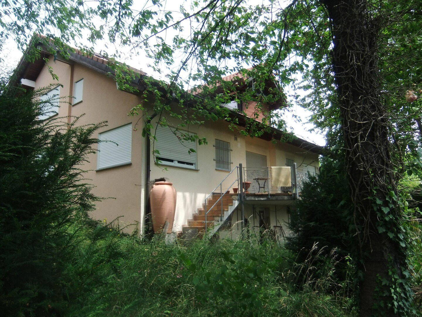 Bild 9