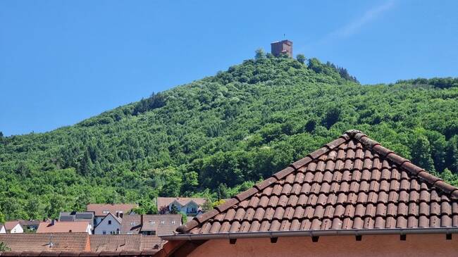 Bild 7