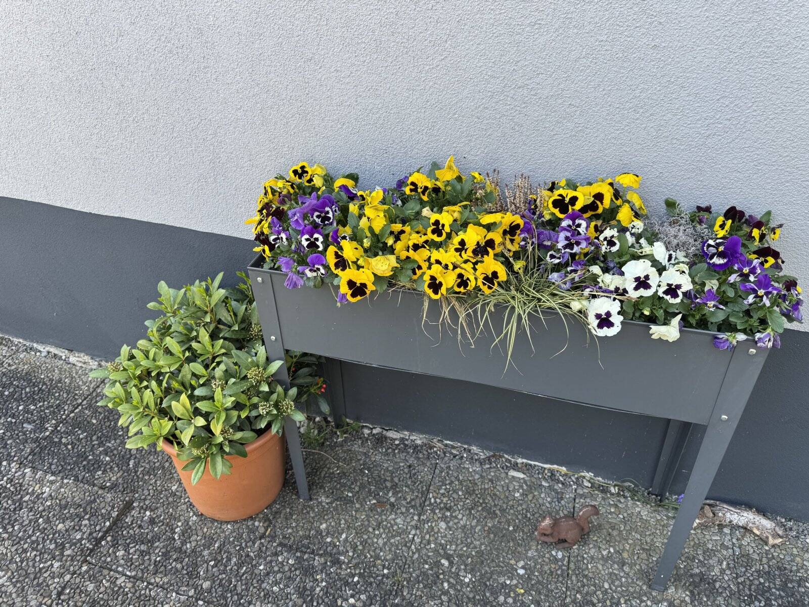 Bild 4