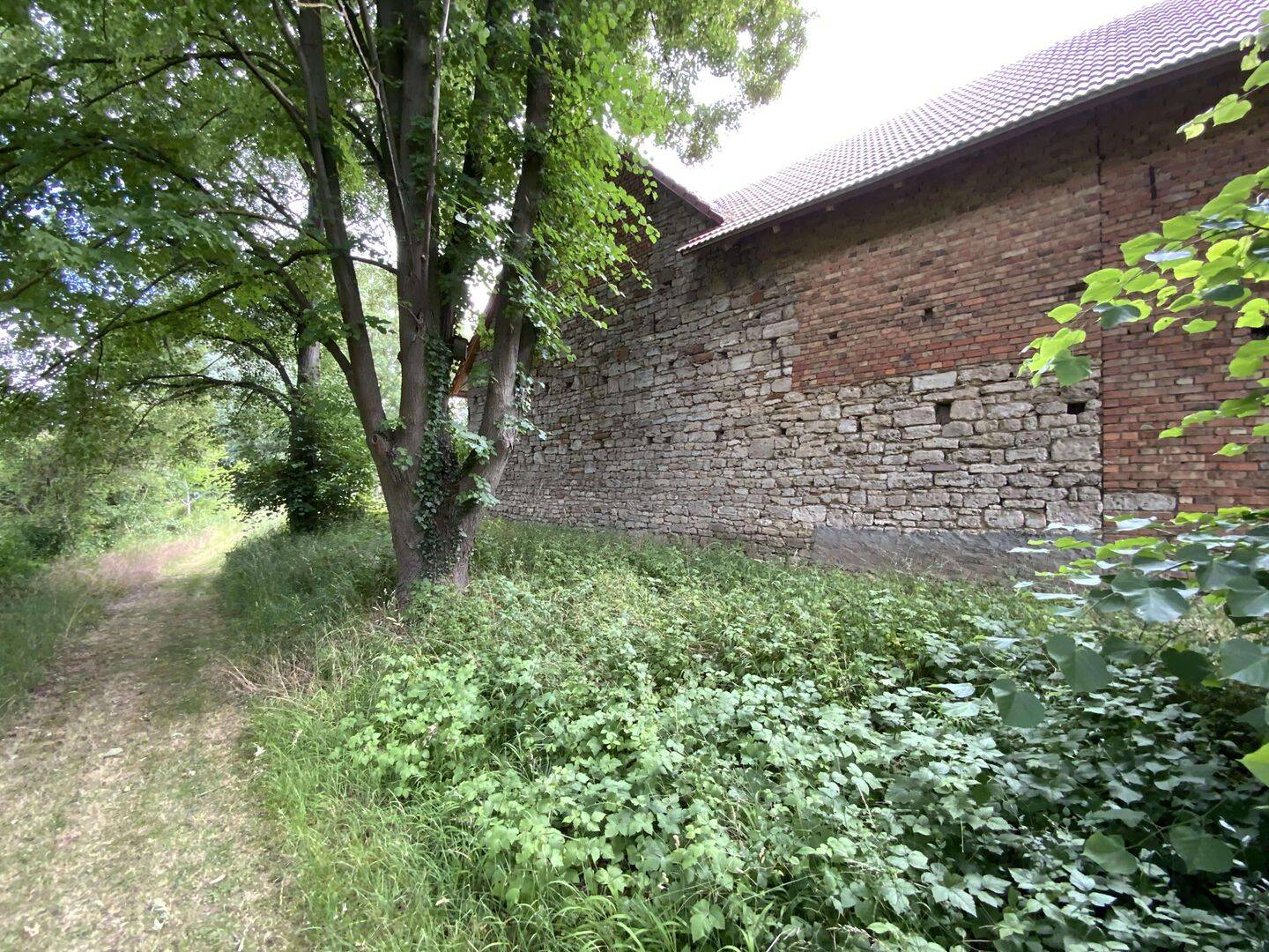 Bild 9