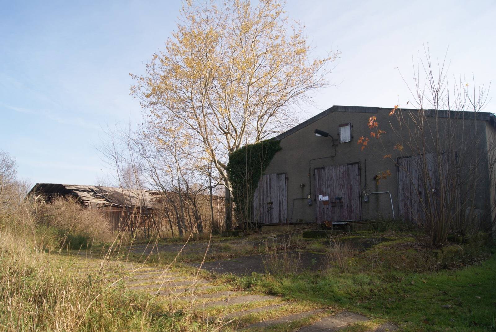 Bild 8
