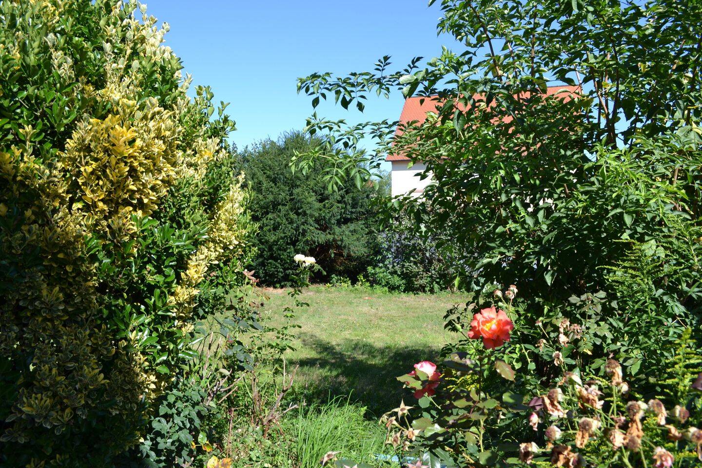 Bild 5