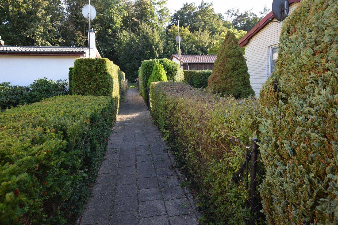 Bild 9