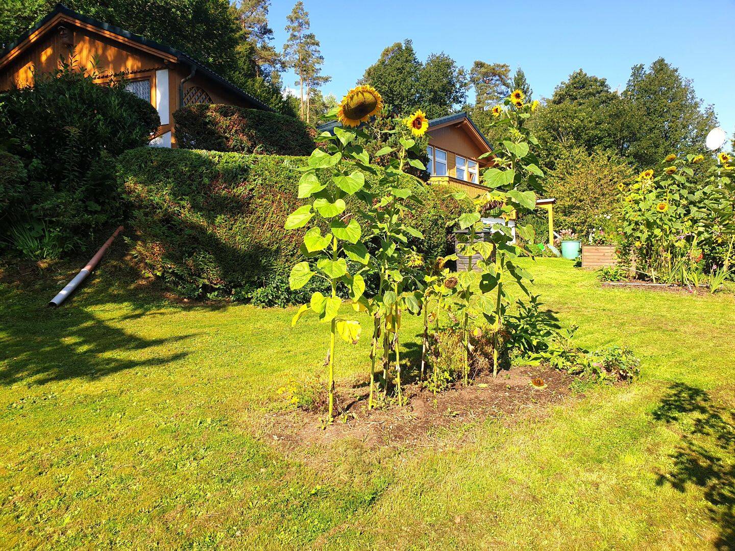 Bild 8