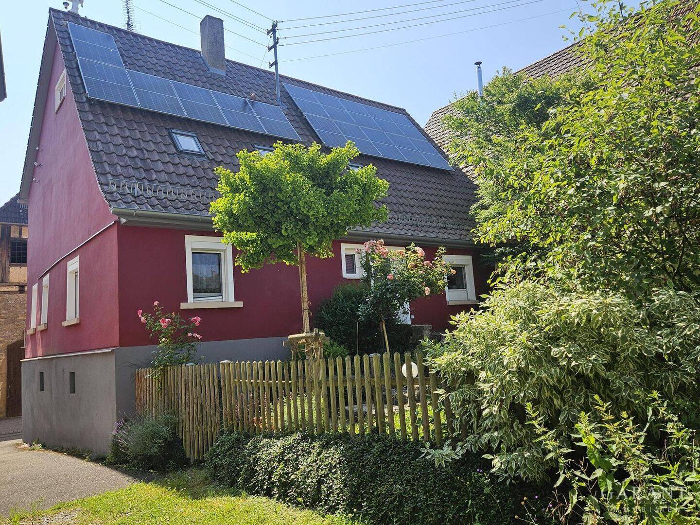 Bild 5