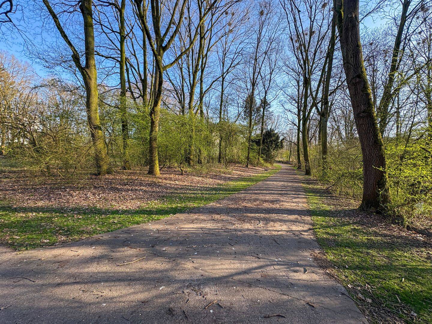 Bild 9