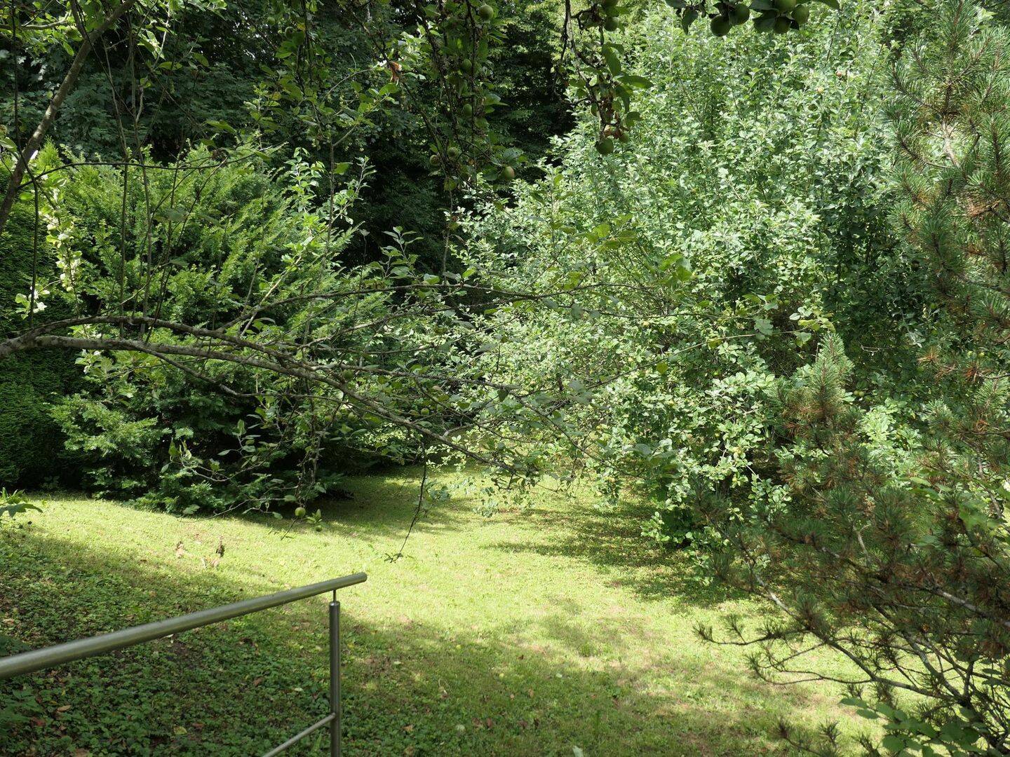 Bild 12