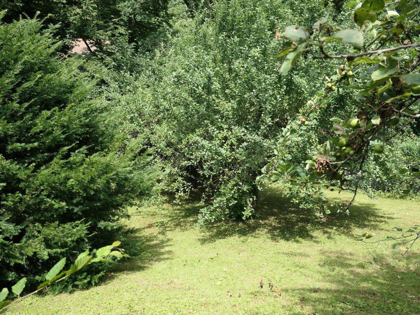 Bild 14