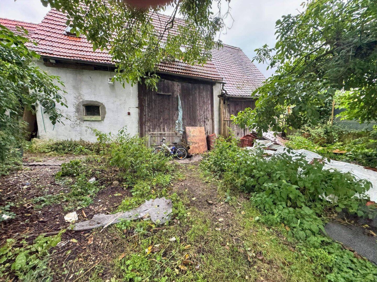 Bild 11