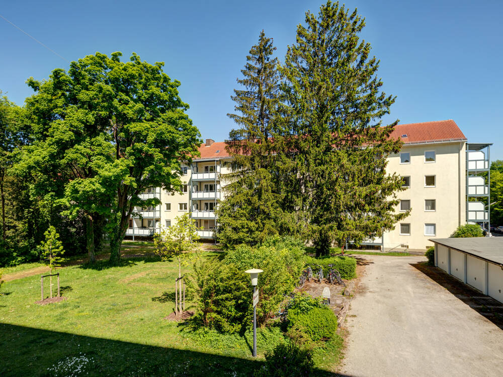 Bild 11