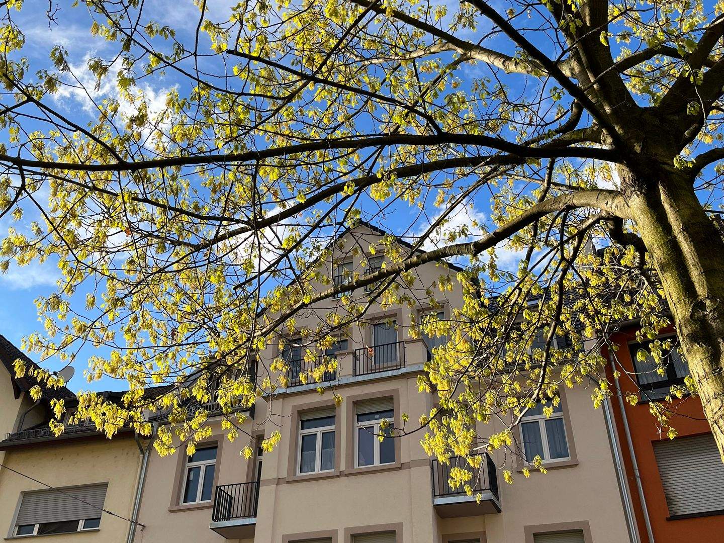Bild 9