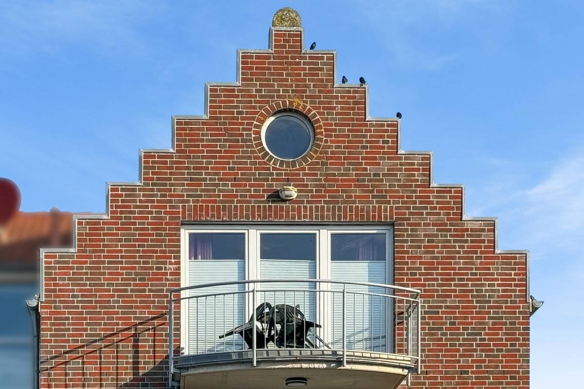 Bild 9