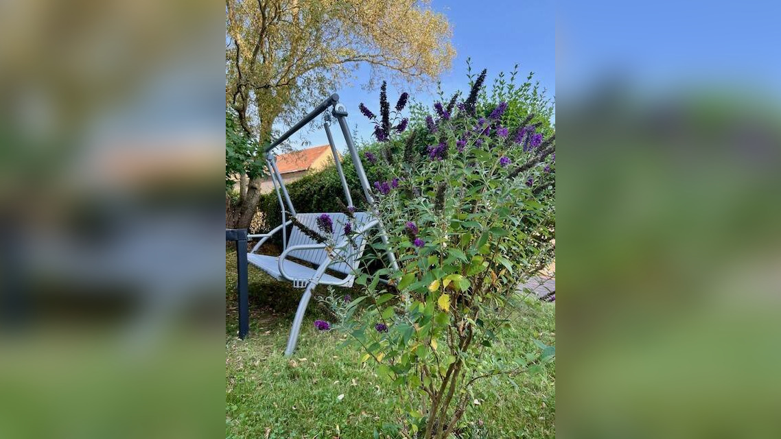 Bild 12