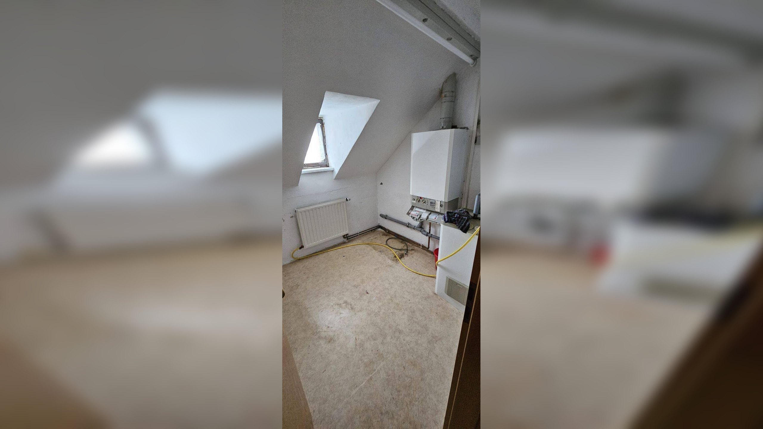 Bild 19