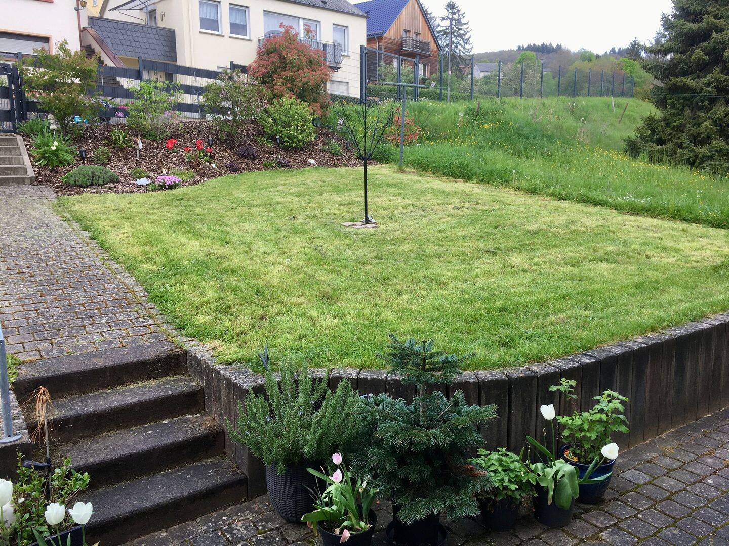 Bild 5