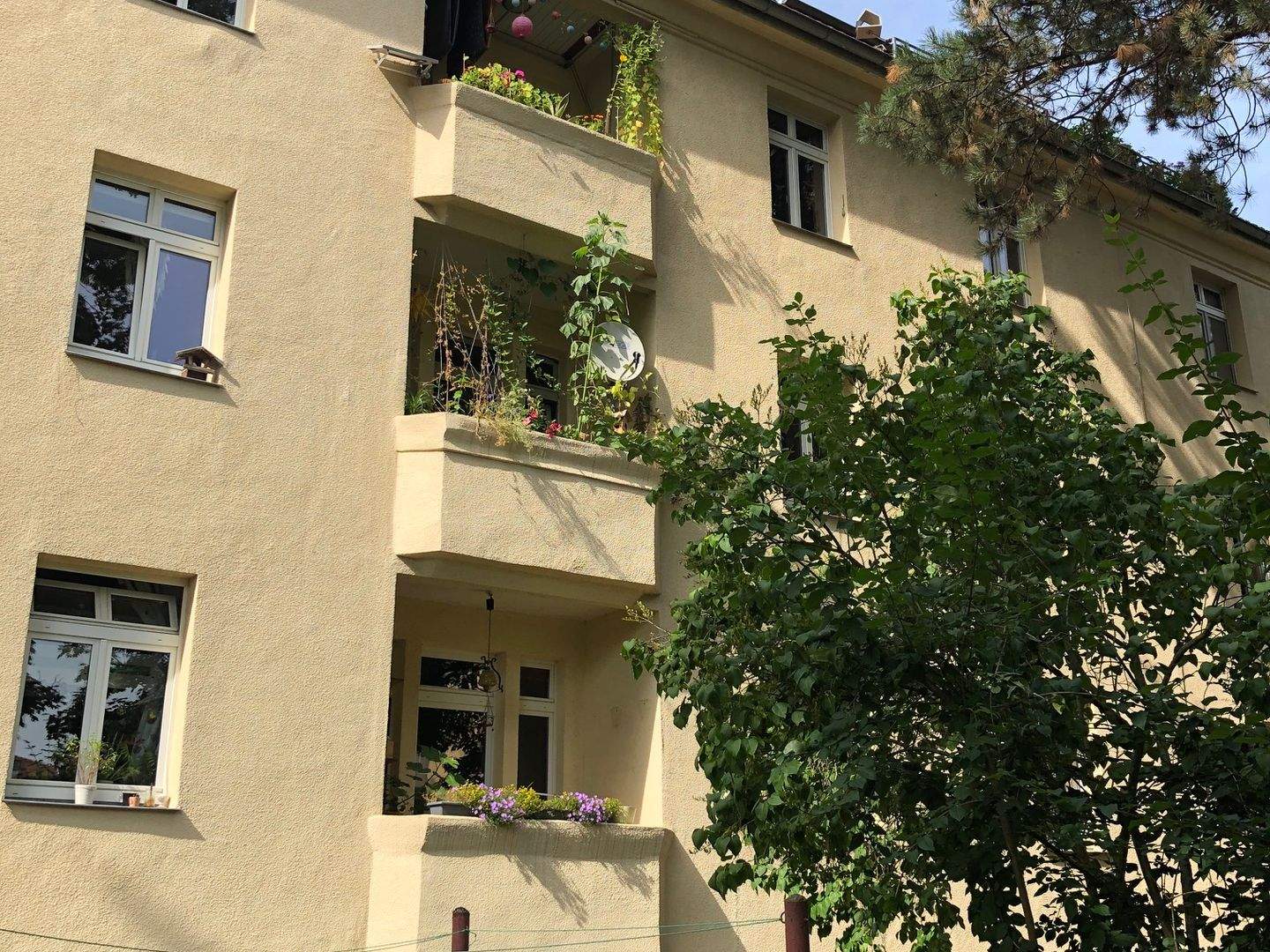 Bild 3