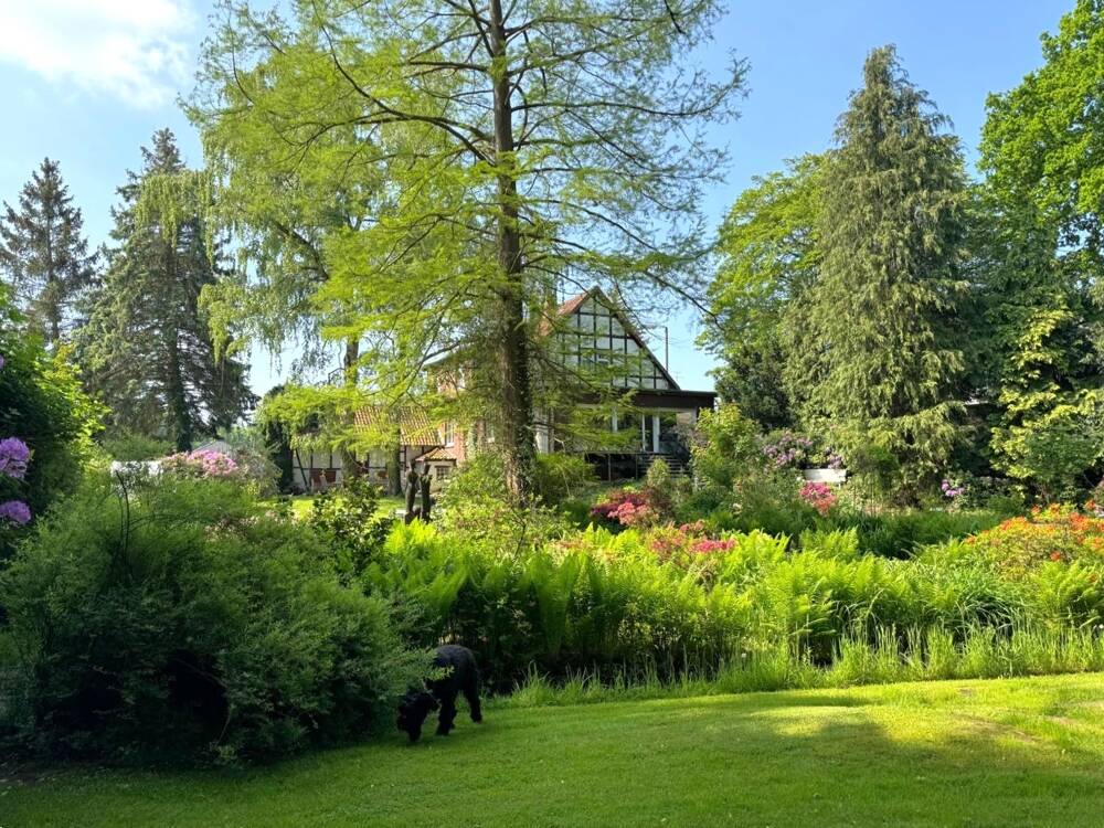 Bild 8