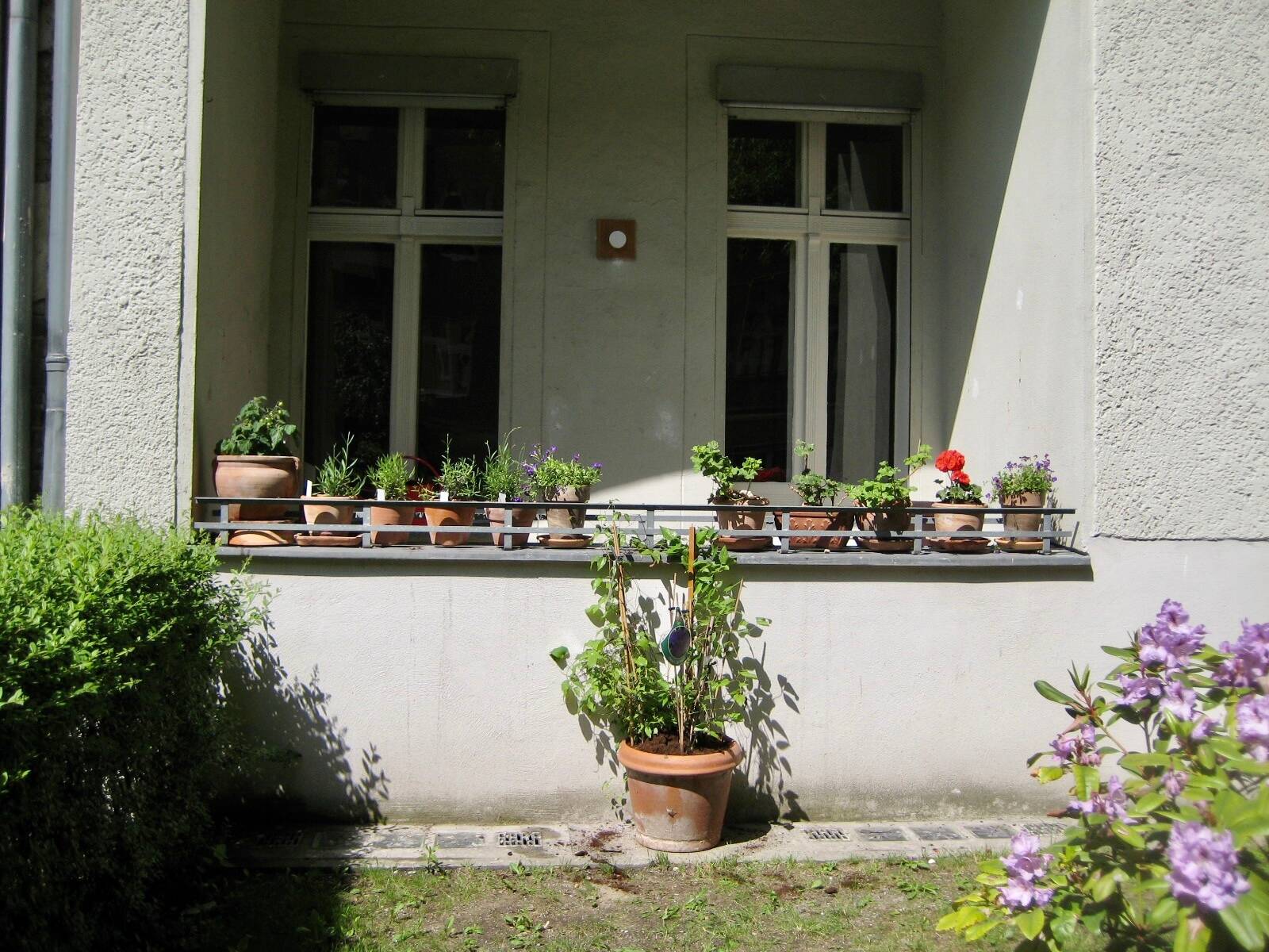 Bild 8