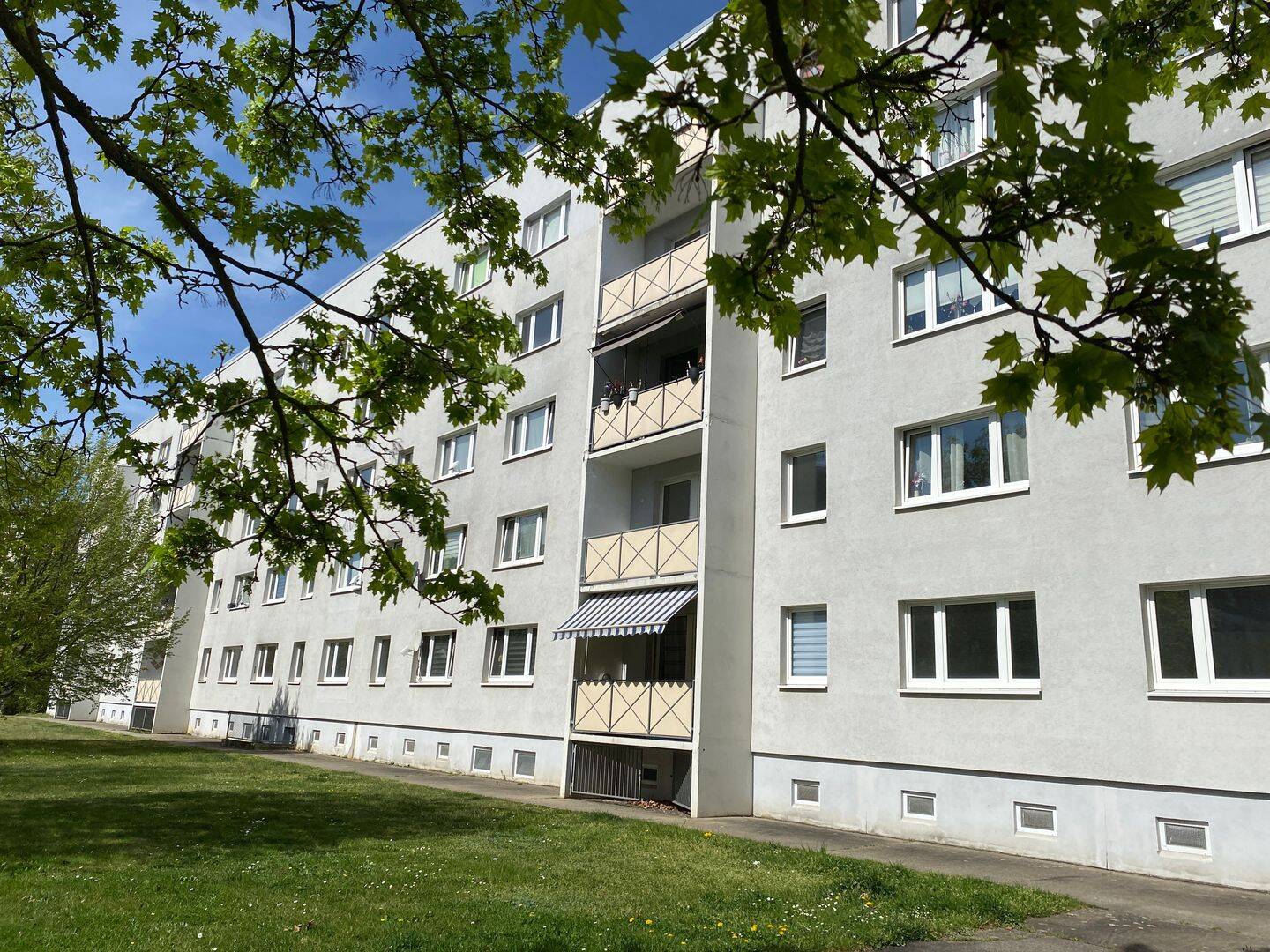 Bild 11