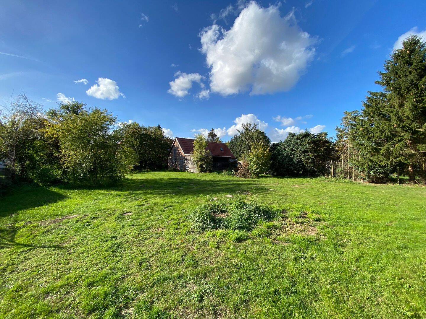 Bild 9
