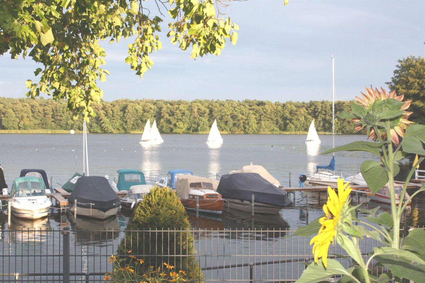 Bild 10
