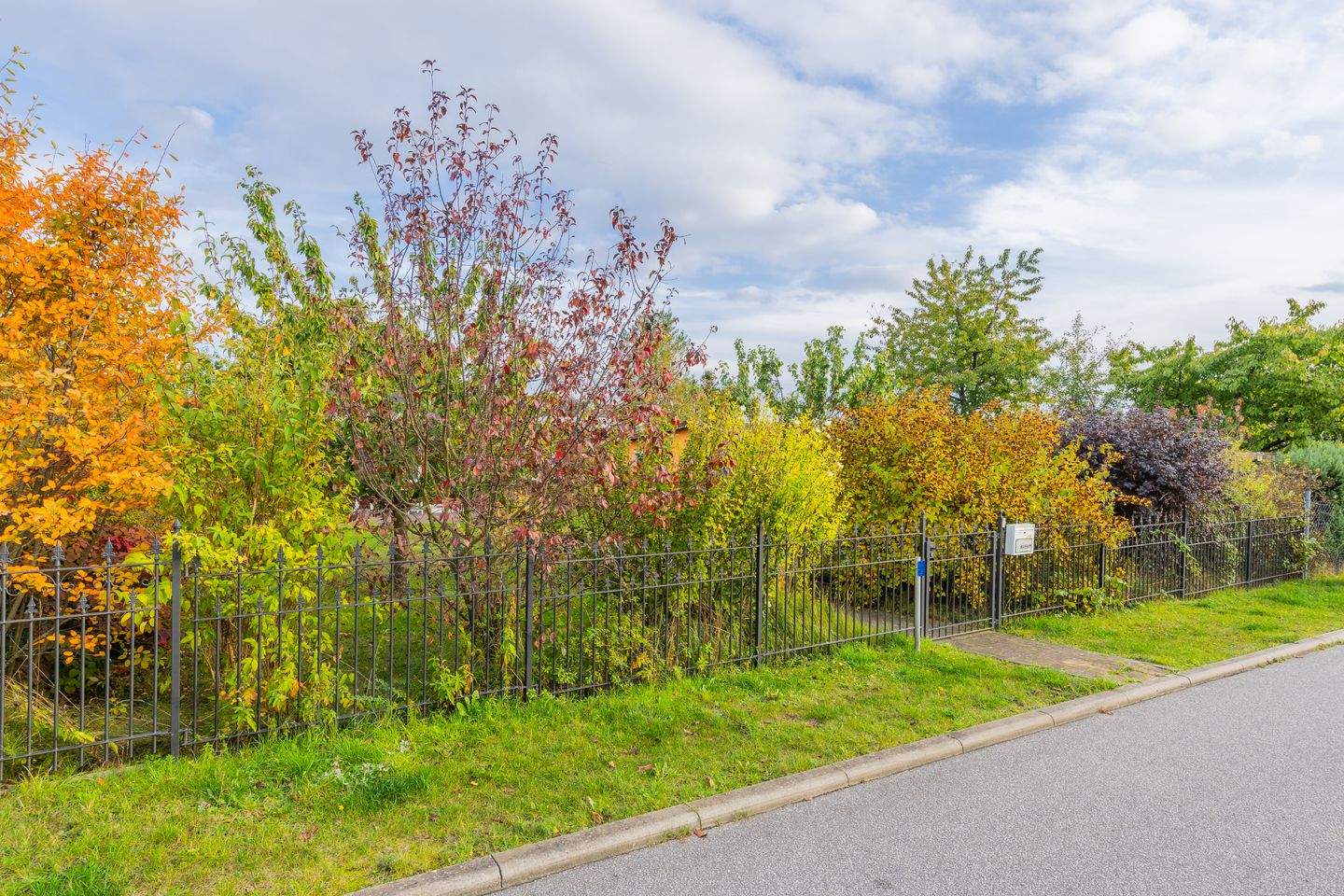 Bild 6