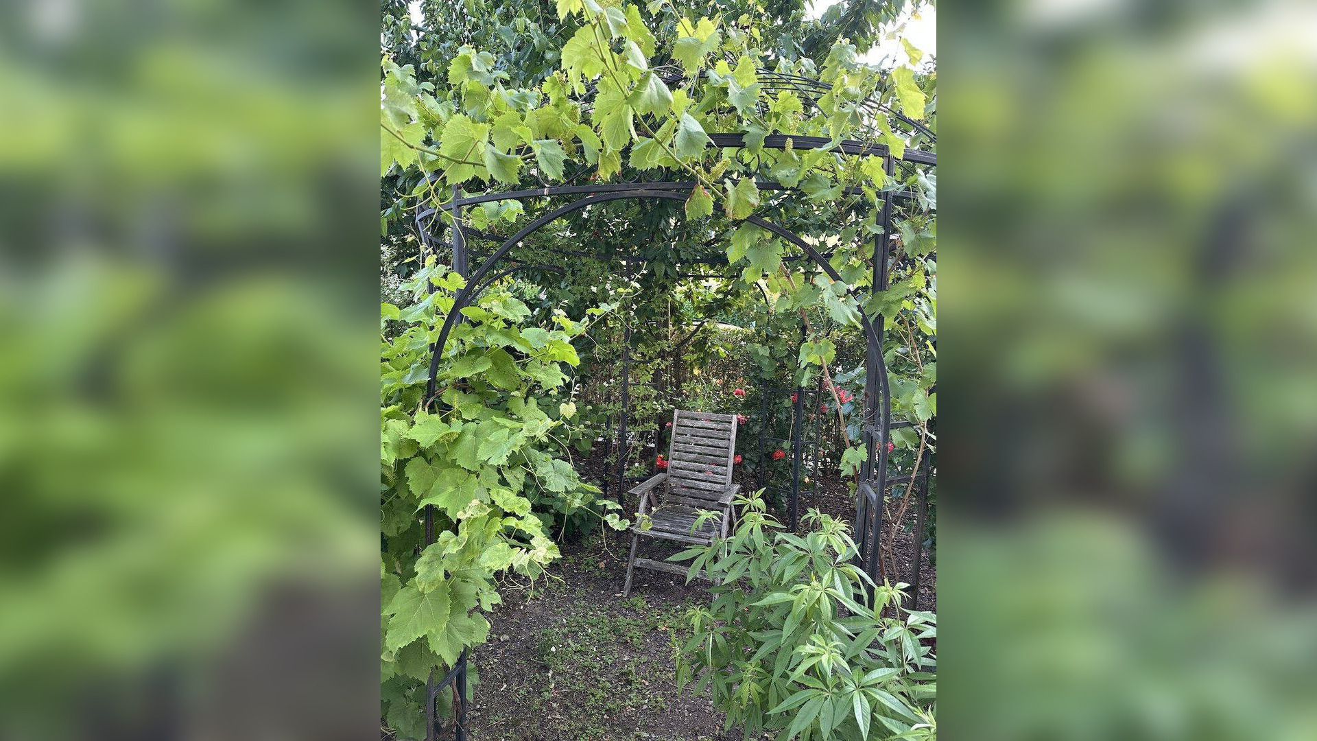 Bild 6