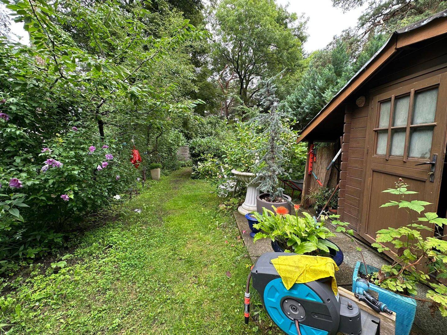 Bild 7