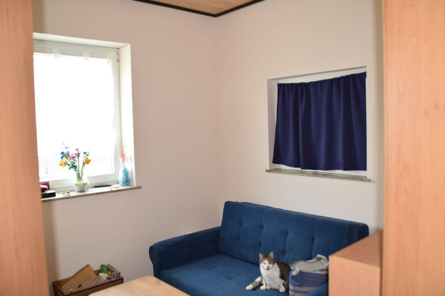 Bild 8