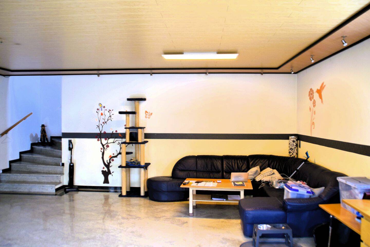 Bild 10