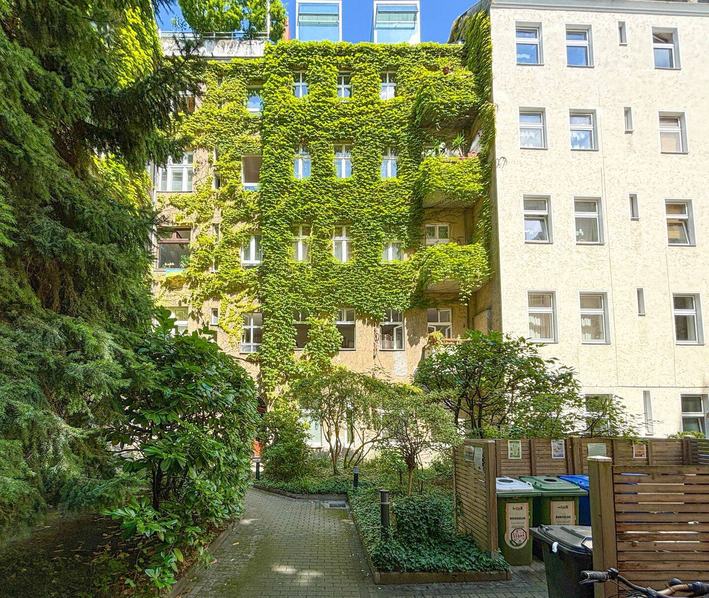 Bild 6