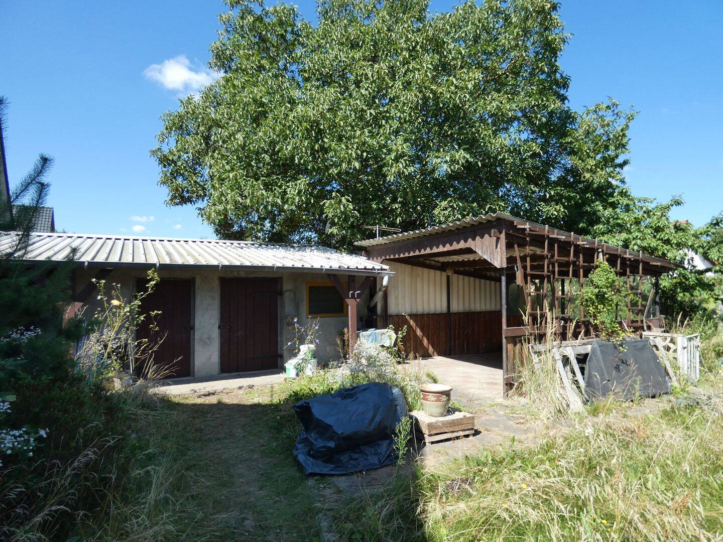 Bild 5