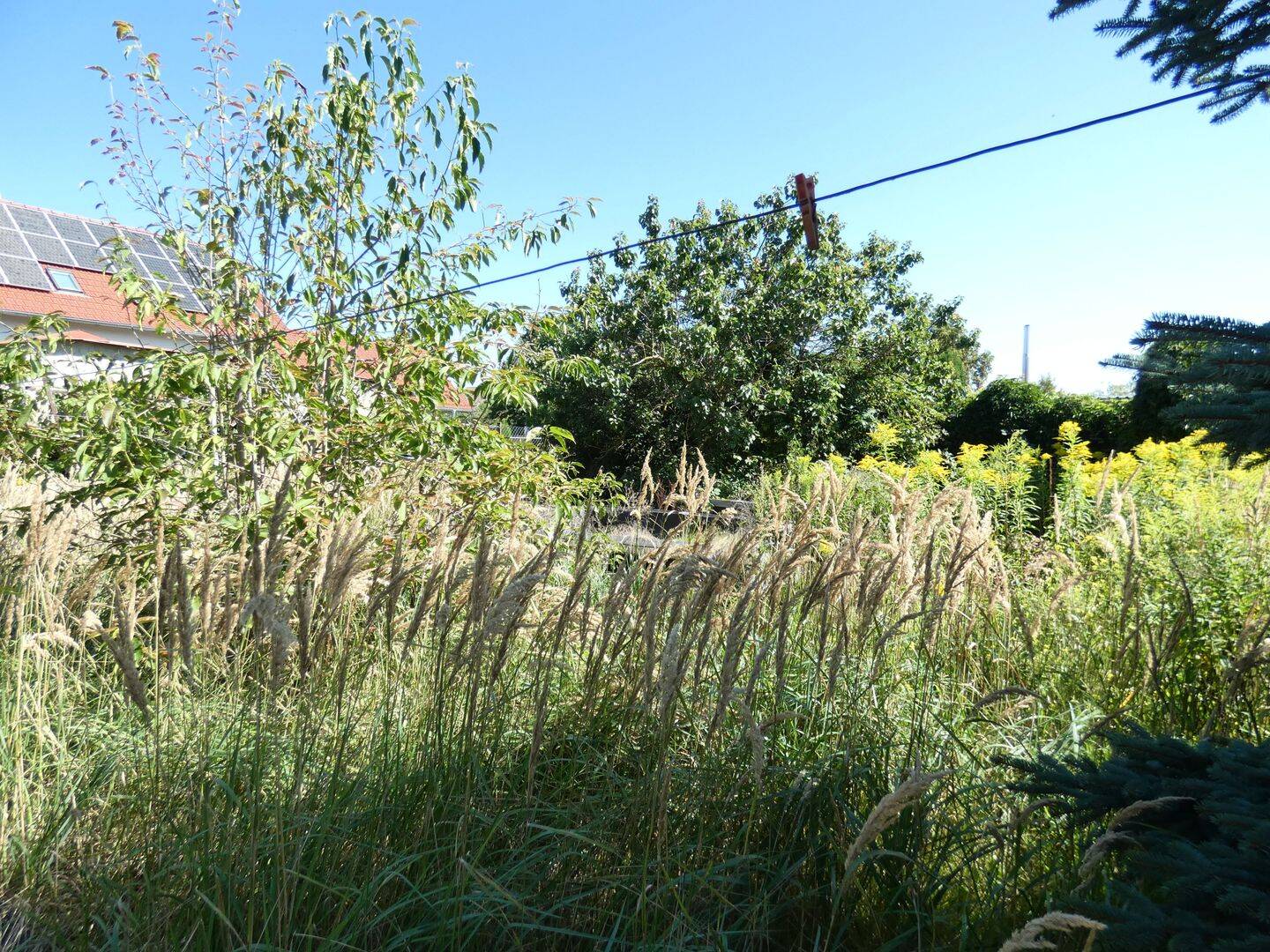 Bild 8