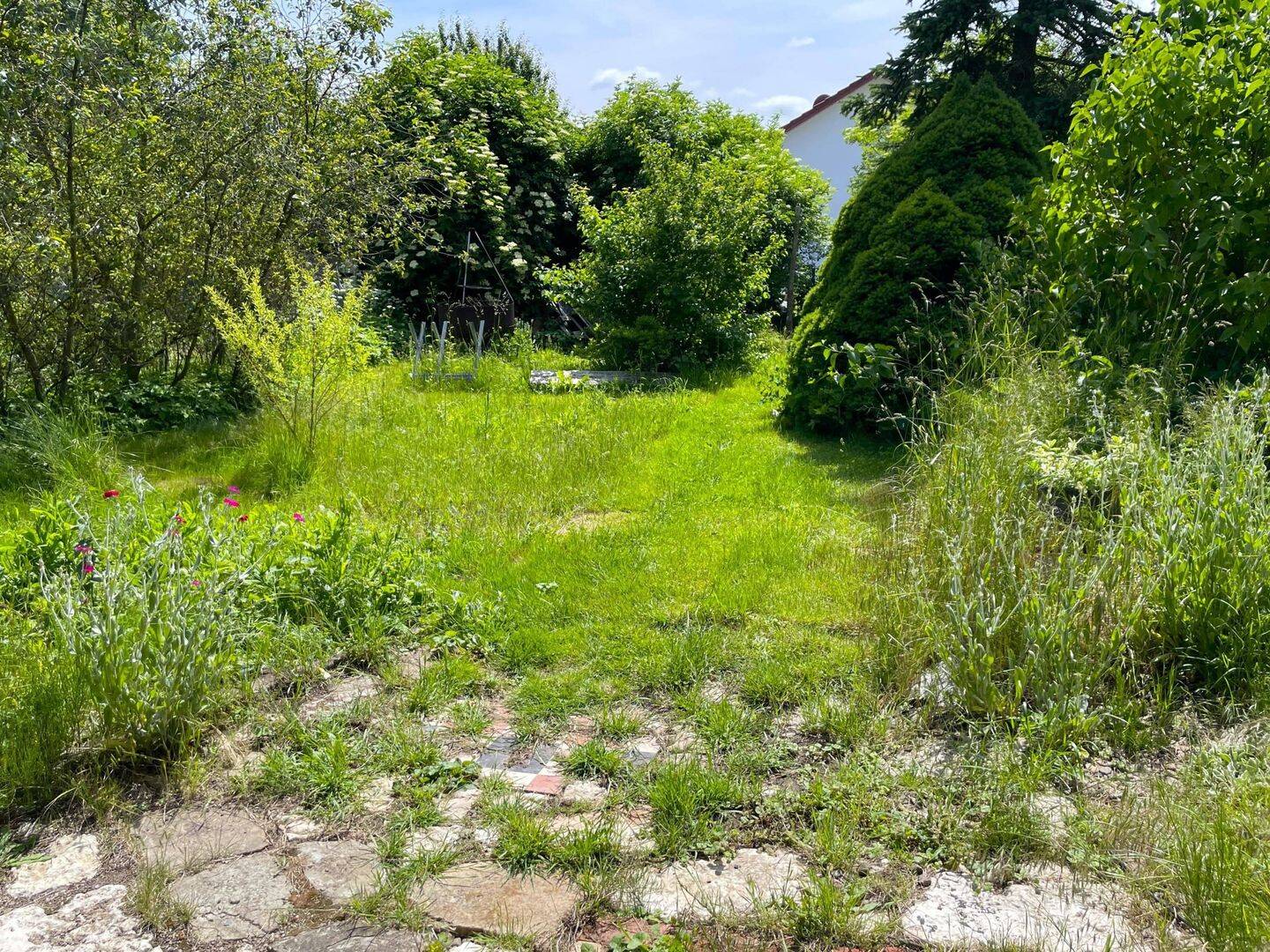 Bild 6