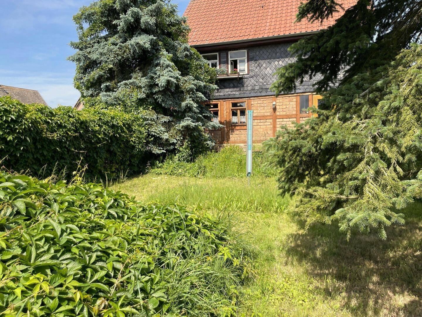 Bild 7