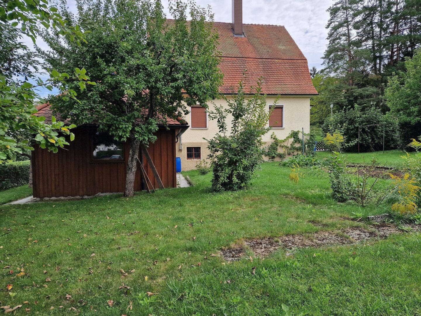 Bild 7