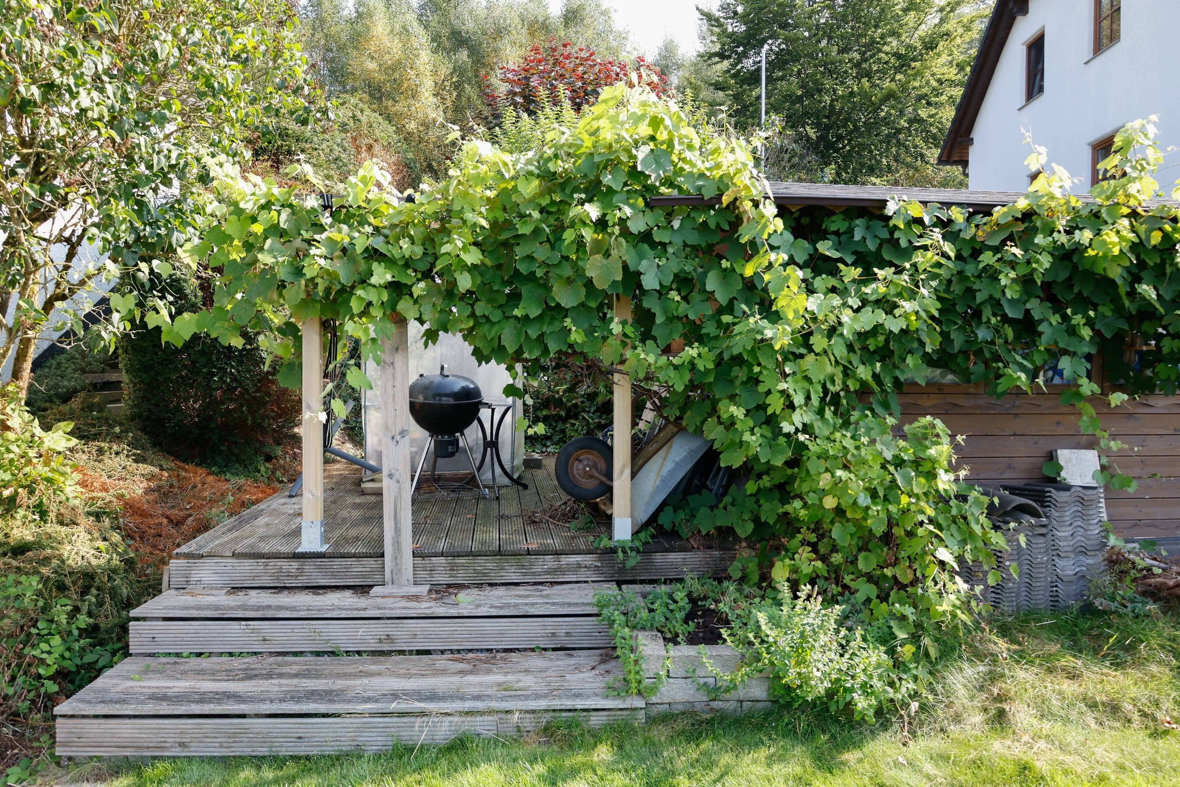 Bild 9
