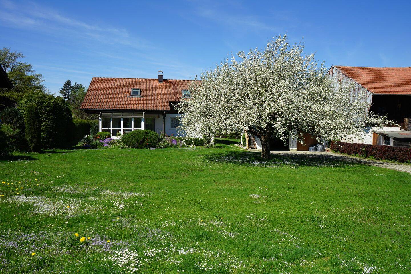 Bild 4