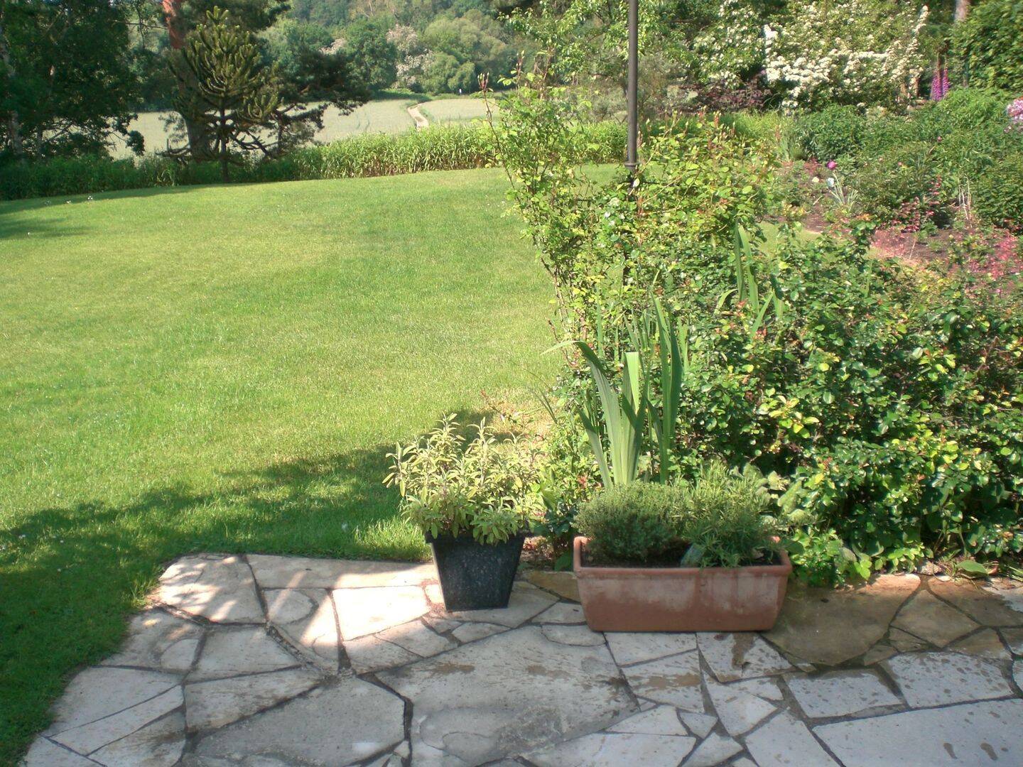 Bild 5